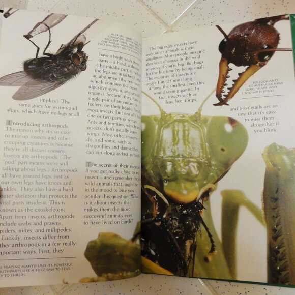 Vintage Secret Worlds Bugs A Close Up View of the Insect World Hardcover Book - Picture 13 of 16